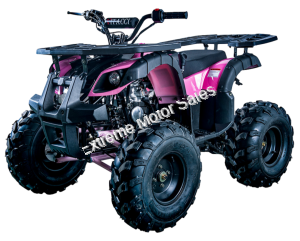 Extreme Rider 10 Quad Kids 125cc ATV 4 Wheeler with Reverse