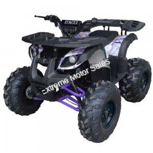 Extreme Rider 10 Quad Kids 125cc ATV 4 Wheeler with Reverse