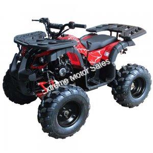 Extreme Rider 10 Quad Kids 125cc ATV 4 Wheeler with Reverse