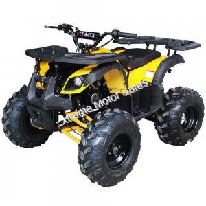 Extreme Rider 10 Quad Kids 125cc ATV 4 Wheeler with Reverse