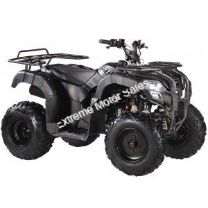 Rider 200cc ATV EFI Fuel Injected Quad 4 Wheeler Automatic Transmission