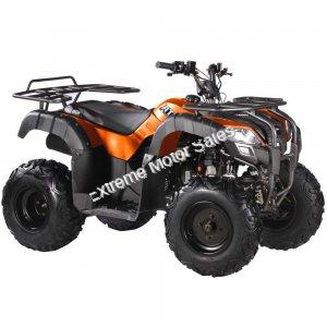 Rider 200cc ATV EFI Fuel Injected Quad 4 Wheeler Automatic Transmission