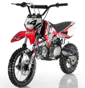 Apollo DB-X4 Kids 110cc Pit Bike Dirt Bike 4 Speed Semi Automatic