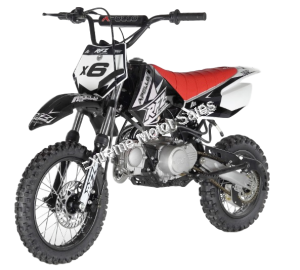 Apollo DBX6 125cc Kids Dirt Bike Pit Bike Automatic Transmission