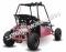 RAIDER 125cc Kids Go Cart Go Kart Dune Buggy 2 Seater