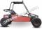 RAIDER 125cc Kids Go Cart Go Kart Dune Buggy 2 Seater