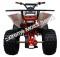 Max Pro Quad Kids 125cc ATV Fully Automatic 4 Wheeler Utility