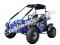 Trailmaster 200E XRS Go Cart Go Kart EFI Fully Automatic Buggy