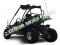 Trailmaster 200E XRX Go Cart Go Kart Dune Buggy 200cc Adult Size