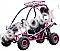 Snake Eyes 125cc Kids Go Cart Off Road Buggy Youth Go Kart 2 Seat