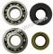 SSP-G Crankshaft Bearing and Seal Kit for Minarelli 90cc 2-stroke engines