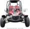 Trailmaster Blazer4 200EX Go Cart GoKart Dune Buggy 4 Seat | EFI