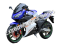 SX250R Sport Bike Motorcycle 250cc