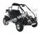 Trailmaster 300 XRX-E EFI Go Cart Go Kart Dune Buggy 300cc Adult Size