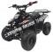 Panther Kids 110cc ATV  Youth Quad With Parent Remote Control