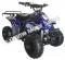 Panther Kids 110cc ATV  Youth Quad With Parent Remote Control