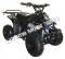 Panther Kids 110cc ATV  Youth Quad With Parent Remote Control