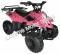 Panther Kids 110cc ATV  Youth Quad With Parent Remote Control