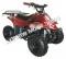 Panther Kids 110cc ATV  Youth Quad With Parent Remote Control