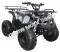 Extreme 3125R Kids ATV 125cc Small Quad 4 Wheeler with Reverse