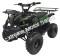 Extreme 3125R Kids ATV 125cc Small Quad 4 Wheeler with Reverse