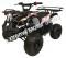 Extreme 3125R Kids ATV 125cc Small Quad 4 Wheeler with Reverse