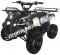 Extreme 3125R Kids ATV 125cc Small Quad 4 Wheeler with Reverse