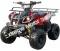 Extreme 3125R Kids ATV 125cc Small Quad 4 Wheeler with Reverse