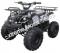 Extreme 3125R Kids ATV 125cc Small Quad 4 Wheeler with Reverse