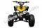 Snake Eyes 125cc Kids Sport ATV Automatic with Reverse Full Size Quad