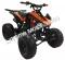 Snake Eyes 125cc Kids Sport ATV Automatic with Reverse Full Size Quad