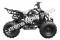 Snake Eyes 125cc Kids Sport ATV Automatic with Reverse Full Size Quad