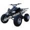 Snake Eyes 3150CXC 150cc ATV Full Size Sport QUAD Kids Automatic