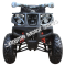 Coolster 3175U 200cc ATV Full Size Utility QUAD Automatic 4 Wheeler