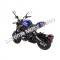 Wolf Striker 125cc | Mini Moto 4 Speed Motorcycle Grom Copy