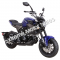 Wolf Striker 125cc | Mini Moto 4 Speed Motorcycle Grom Copy