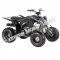 Pentora 125cc EFI ATV Kids Quad Automatic with Reverse 4 Stroke Gas