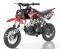 Apollo 70cc Youth Dirt Bike Small XR50