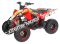 Pentora 125cc ATV Kids Quad Automatic with Reverse Carbureted Model