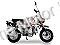 Leo PBZ125-3 125cc Semi Auto| Honda CT70 Clone Motorcycle