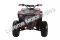 Wolfeye 3125F 125cc Kids Sport Utility ATV Automatic with Reverse Quad