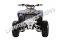 Wolfeye 3125F 125cc Kids Sport Utility ATV Automatic with Reverse Quad