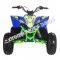 Pentora 125cc ATV Kids Quad Automatic with Reverse Carbureted Model