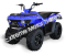 Linhai Bighorn Massimo 150cc ATV Quad Full Size Utility 4 Wheeler