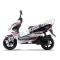 Wolf Blaze 50cc Gas Scooter Moped 49cc Street Legal 2 Year Warranty