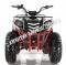 Apollo Commander 200cc ATV Automatic w/Reverse 4 Wheeler Quad Utility