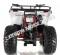 Apollo Commander 200cc ATV Automatic w/Reverse 4 Wheeler Quad Utility