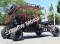 Extreme Cruiser DF200GHG4 200cc Go Cart Go Kart Off Road 4 Seater