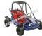 Shark 125cc Kids Youth Go Cart Dune Buggy