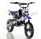 Apollo DB34 DB-34 110cc Dirt Bike Pit Kids Pro Semi Automatic